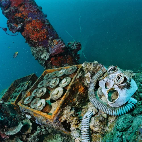 Wrexpedition Palau