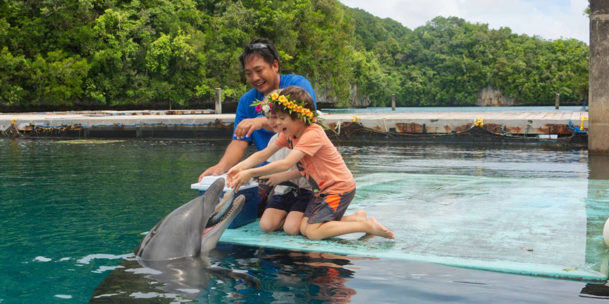 2 kids and one instructor feeding a dolphin with fish