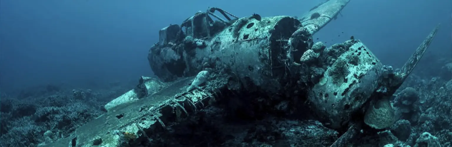 underwater photo of Jake Seaplane in Palau from its left front