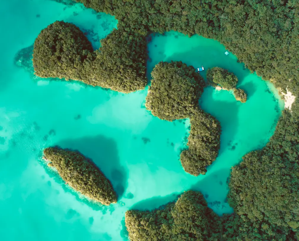 aerial photo of the famous Milky Way in Palau showing a turquoise bay surrounded by green Rock Islands