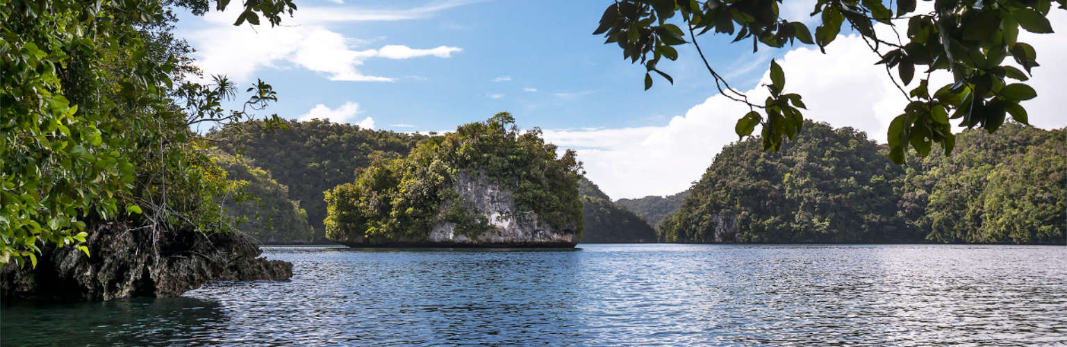 Look through the trees at Rock Islands in Nikko Bay Palau