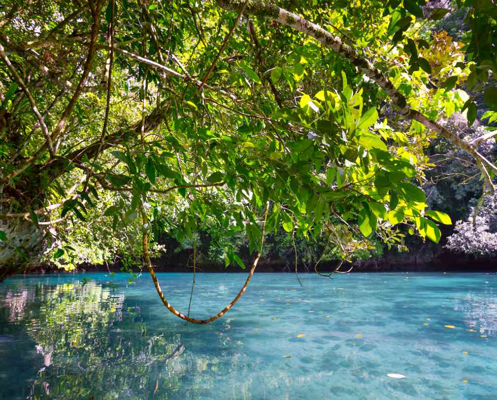 Looking at turquoise waters and Rock islands from a kayak in Nikko Bay, Palau