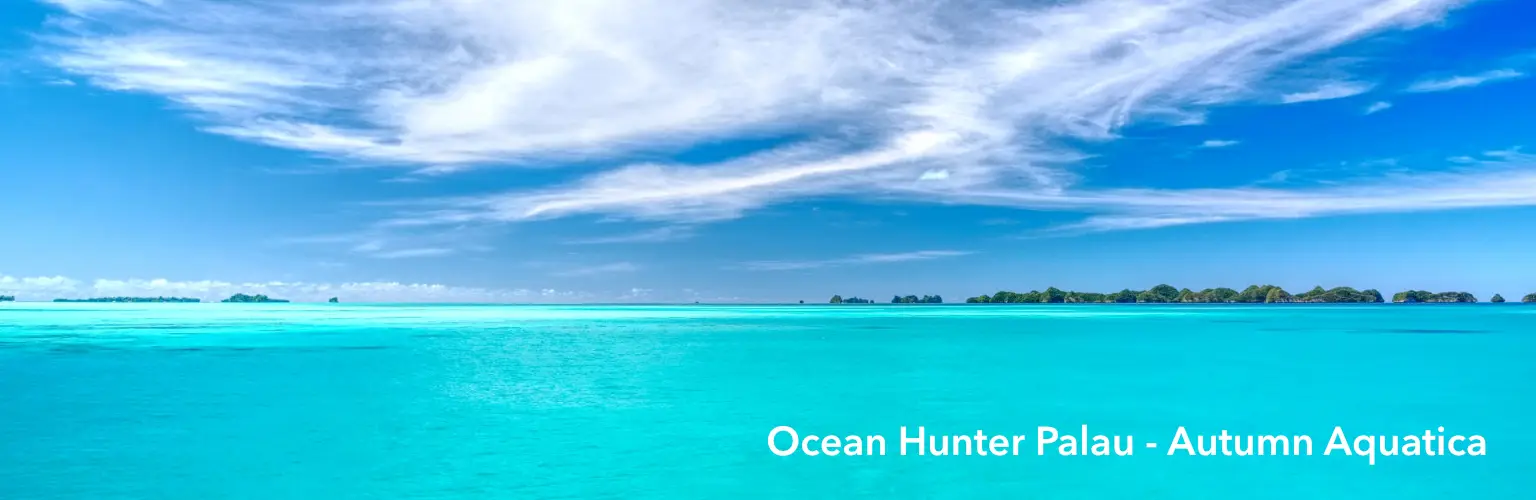 photo of the seventy islands in Palau taken from the back of Palau's premier liveaboard, the Ocean Hunter Palau