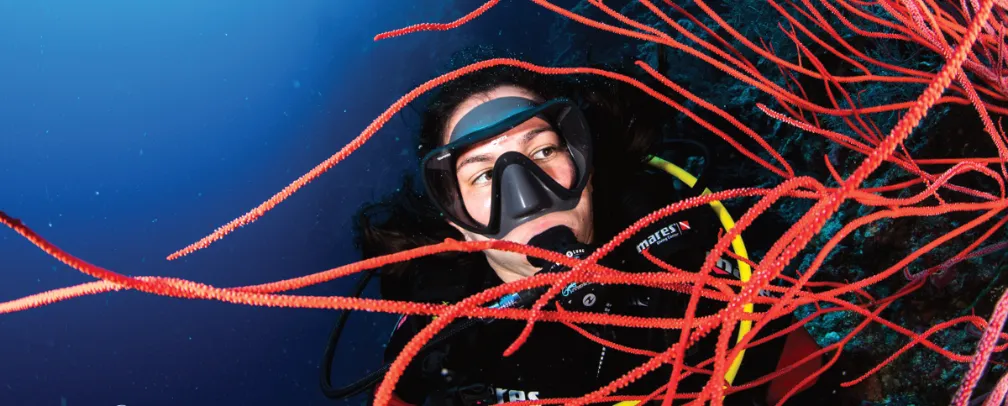 underwater photo of a diver behind a read soft coral