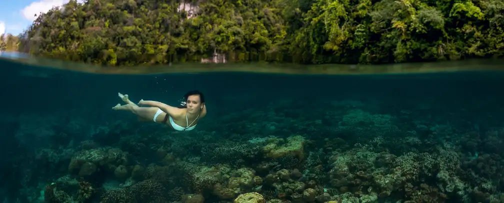 underwater photo of a woman in a white bikini skindiving close to the mangoes in Palau