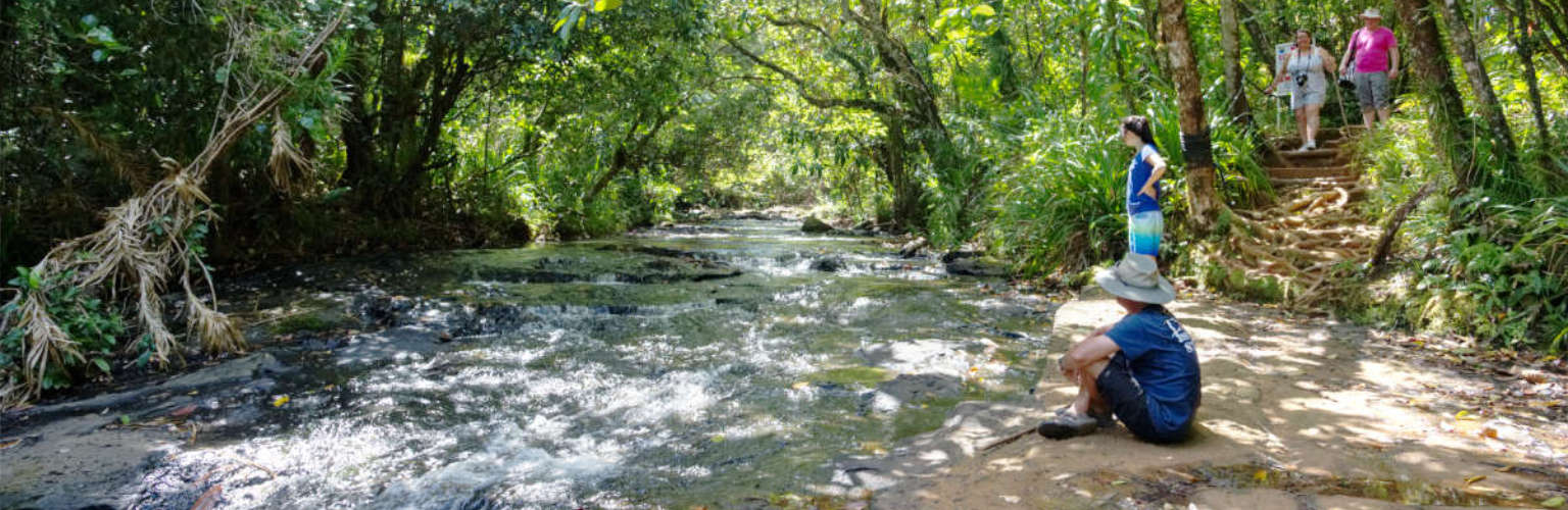 Fish 'n Fins guests on a land tour crossing a river