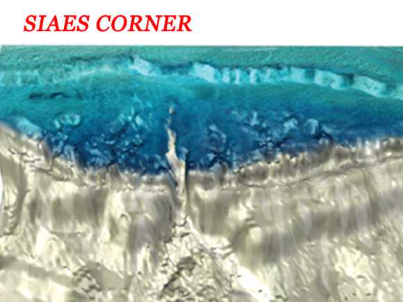 3d drawing, Infographic explaining Siaes Corner, a dive site in Palau