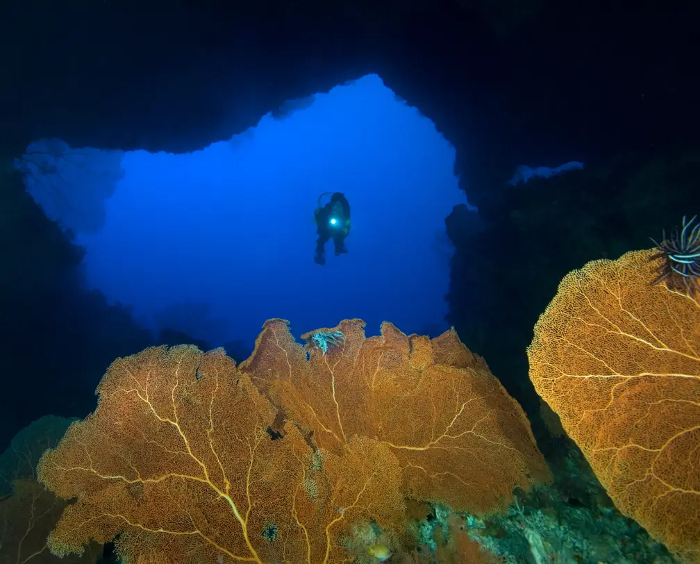 underwater photo of a scuba diver entering a cave with yellow fan coral in the forefront lit by strobes