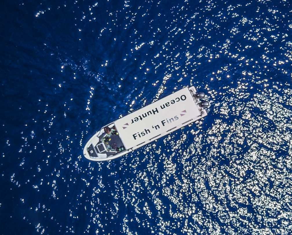 Fish 'n Fins Boat seen from the top oil the ocean